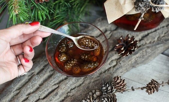 Tinkturë e bazuar në sythat e pishës për trajtimin e osteokondrozës së qafës së mitrës në shtëpi