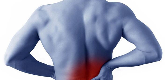 dhimbje në rajonin e mesit